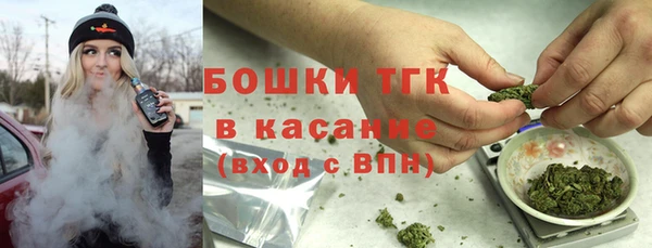2c-b Бородино
