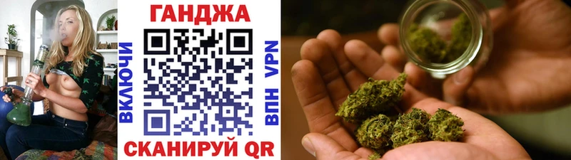 Конопля гибрид  Буинск 